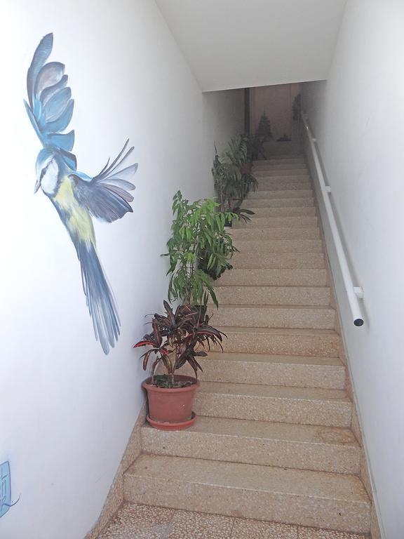 Apartamentos Dominguez Calera ภายนอก รูปภาพ